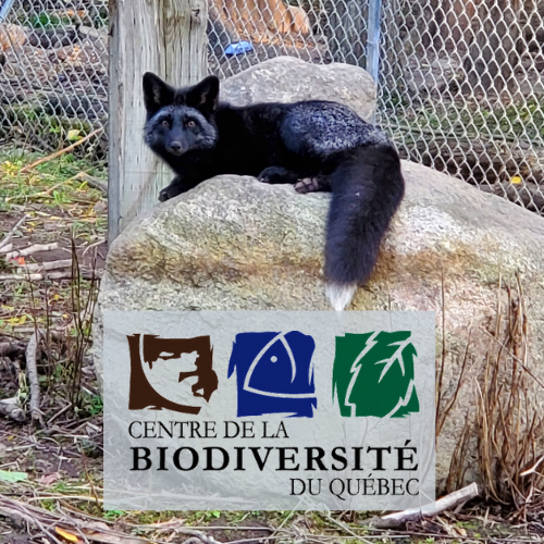 L'hiver au Centre de la Biodiversité