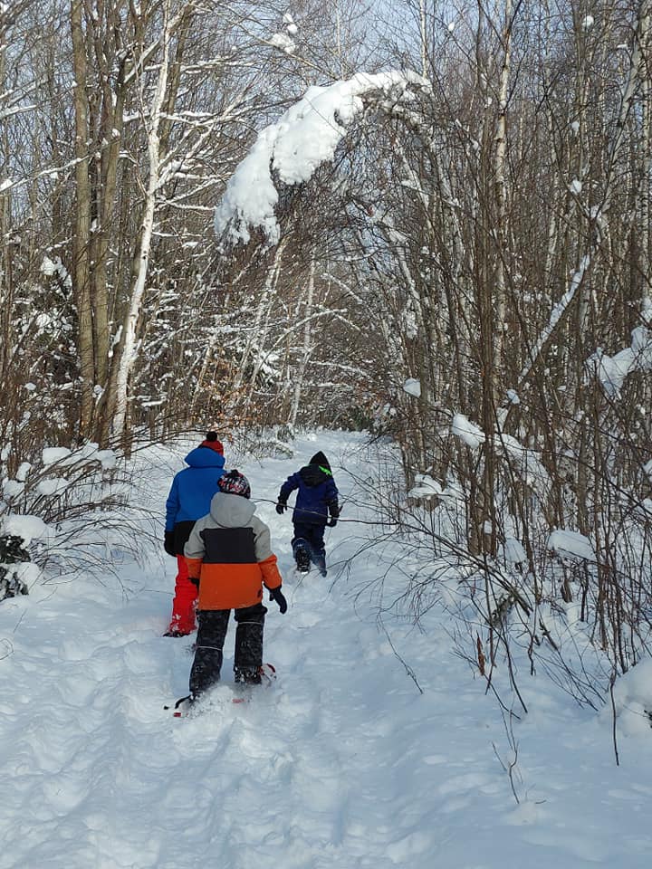 Sentier de raquettes - location