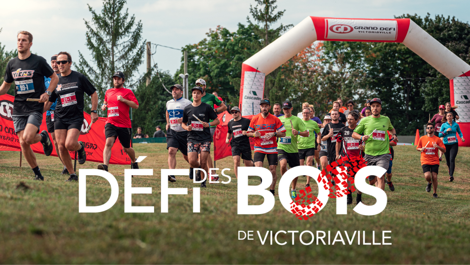 Dfi des bois de Victoriaville